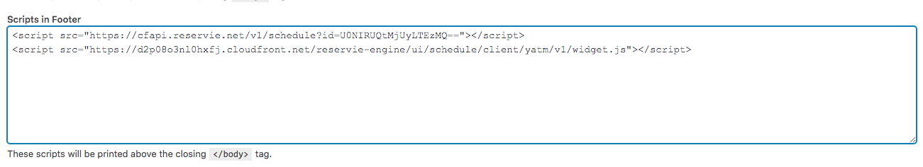Step 5: wordpress headers and footers plugin with footer code box filled